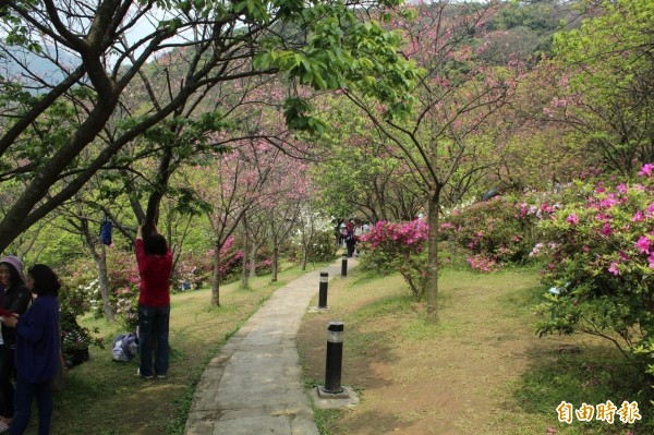 今年是陽明山國家公園成立30週年，12月1日及2日，台灣大學將辦理「都市保護區保育實務與經營管理國際研討會」。圖為陽明山公園。（資料照，記者蔡亞樺攝）