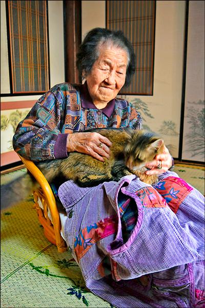 107歲人瑞高木波惠對鄰居飼養的貓「恰恰」疼愛有加。（取自網路）