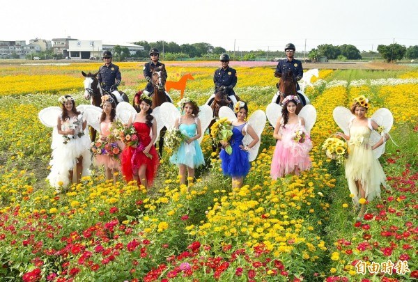 高雄地區首場賞花盛會「花田喜事」，週六將在橋頭熱鬧登場。（記者張忠義攝）