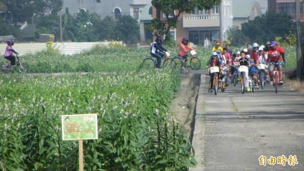 西港區公所「作伙迺西港」行程，在胡麻節期間相當受歡迎。（記者劉婉君攝）