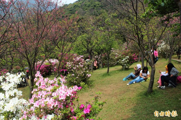 陽明山國家公園的權管單位分為內政部營建署陽管處、台北市政府工務局公園處。營建署長許文龍釋善意，事權統一交予陽管處，但產權不變。（資料照，記者鍾泓良攝）