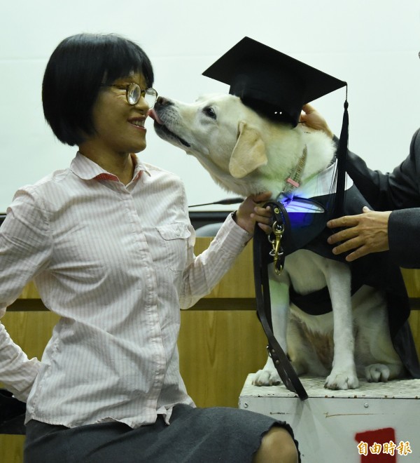 導盲犬「塔希」陪伴因意外失明的台科大職員張雅惠（左）7年，台科大25日為「塔希」舉辦溫馨的畢業典禮，師生感謝牠多年來的奉獻與陪伴，也祝福牠享受畢業後的退休生活。（記者廖振輝攝）