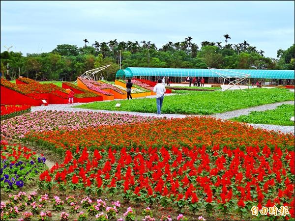 花蓮市公所、市農會在國福地區聯手打造三公頃花海，即日起開放到農曆春節。（記者王錦義攝）