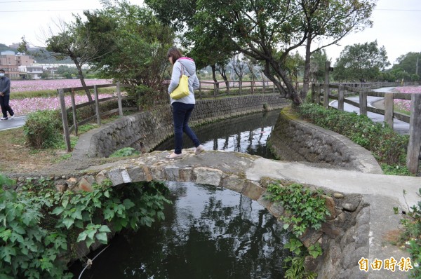 石拱橋修復後，被遊客抱怨像水泥橋。（記者周敏鴻攝）