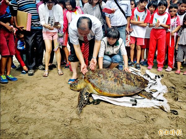 澎湖海洋生物研究中心前主任蔡萬生提出警訊，收容海龜雌雄比過度懸殊。（記者劉禹慶攝）