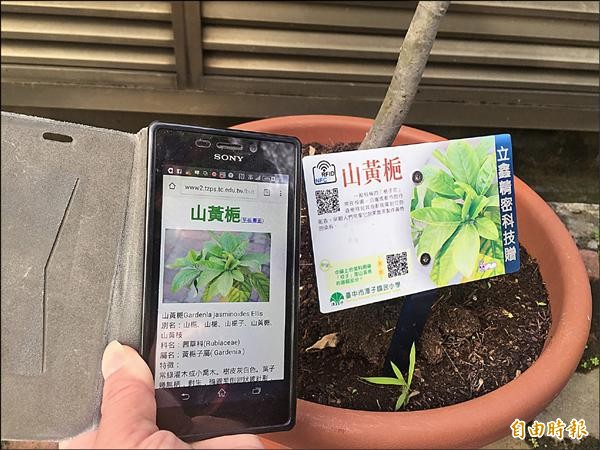 潭子國小植物解說牌，內建QRcode或RFID，手機掃描即可獲知該植物的詳細資訊。（記者歐素美攝）