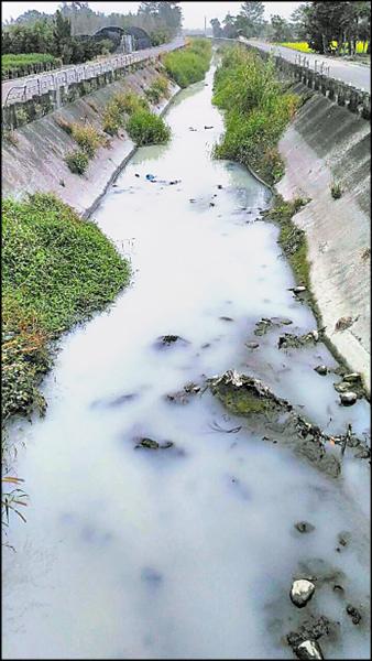 清水溪在元旦假日期間，遭偷排濁白狀廢水，變成牛奶河。（記者陳冠備翻攝）