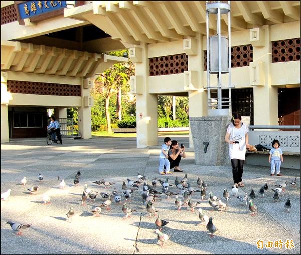 動保處呼籲民眾放心賞鳥，但勿近距離接觸，以防萬一。（記者陳文嬋攝）