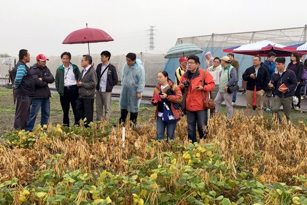 日後農民採收紅豆將禁止使用「巴拉刈」藥劑，農委會防檢局表示，已找到新的替代藥劑「氯酸鈉」並完成新農藥的毒理審查及藥效試驗。（記者吳亮儀攝）