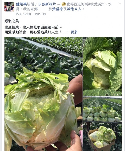 鐘翊禹在臉書貼文，吸引許多人認購高麗菜響應善行。（記者陳冠備攝）