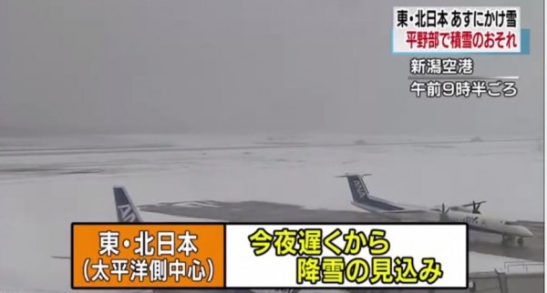 日本遭逢大雪，部分國內班機停飛。（圖取自《NHK》）