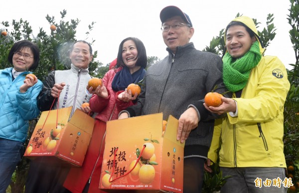 台北市長柯文哲今日前往北投採柑。（記者簡榮豐攝）