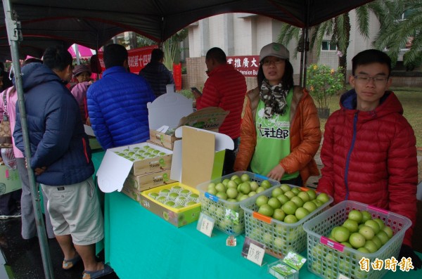 參加農改場展示會的棗農擔心這波寒流會影響收成。（記者李立法攝）