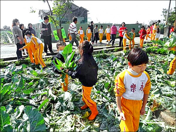 永樂國小用當地農產「花椰菜」翻轉教育，扭轉可能廢校的命運。（永樂國小提供）