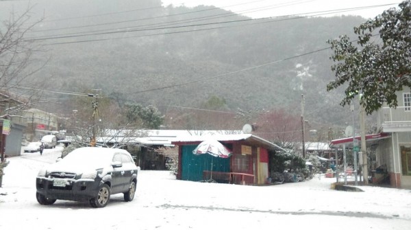 南庄鄉多處凌晨傳出雪訊，到白天已是白雪一片。（楊文昌提供）