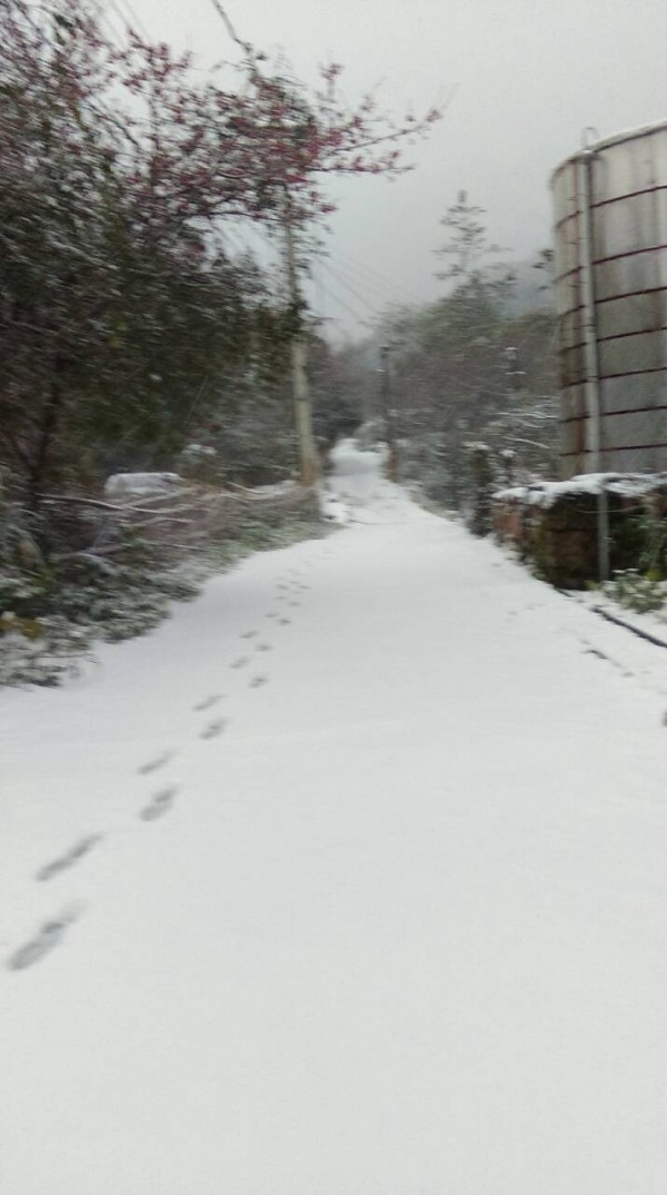 南庄鄉道路已積雪，警方開始實施交管（記者鄭鴻達翻攝）