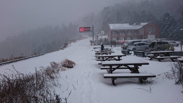 合歡山小風口停車場積雪達25公分。（讀者簡任廷提供）