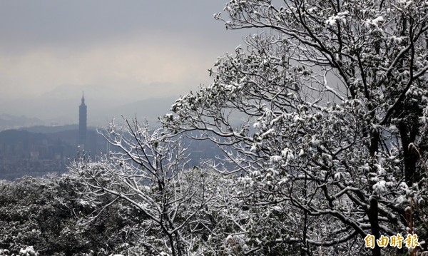 北市平地多處傳出下雪，但這可能是下冰霰。（記者張嘉明攝）