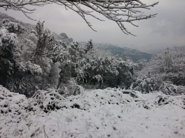 一名網友指出，新店區達觀社區一帶傳出下雪，照片中的山區白雪皚皚一片，就像身處雪國一般。（圖擷自PTT新店版）