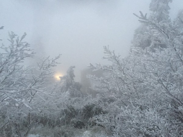 太平山清晨雪景。（圖由太平山莊提供）