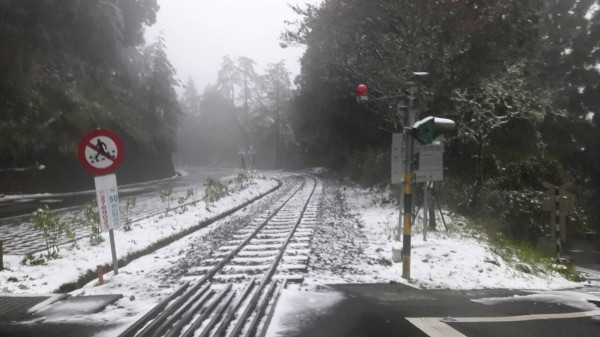 阿里山森鐵祝山線今晨6點43分因鐵軌覆雪停駛，創10年來第一遭。（台鐵提供）