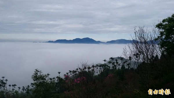 民眾上梅嶺追不到雪，雲海之美算是意外收穫。（記者吳俊鋒攝）