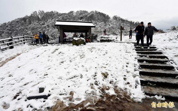 回顧台灣歷史文獻，1893年全台各地皆傳降雪，當年就連嘉義平地都降下大雪。圖為北市與新北市交界的五指山區降下瑞雪。（資料照，記者張嘉明攝）