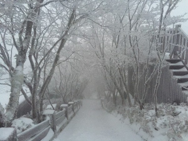 一度受困在太平山內四名台大登山社學生，已經脫困。（圖由太平山莊提供）