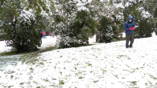 因為超級寒流，陽明山週末降雪，吸引民眾前往賞雪。（警方提供）