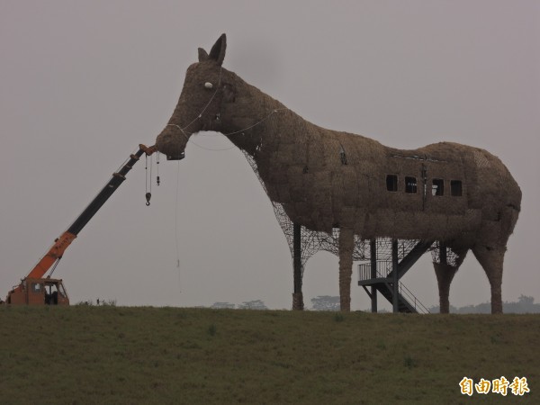 16公尺高的大牧馬已經接近完工階段。（記者林孟婷攝）