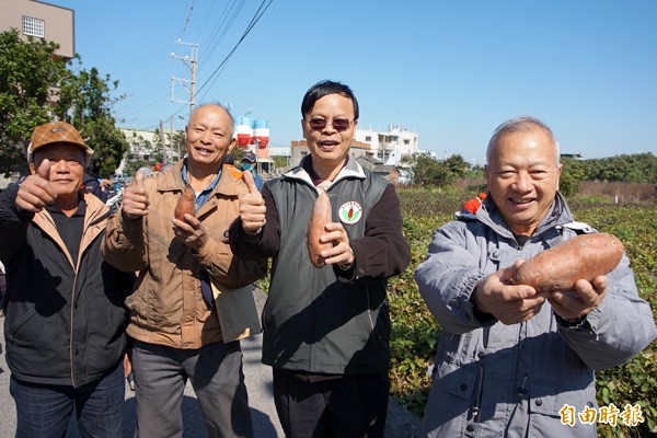 台中農改場場長林學詩（左三）與農友手持種植的台農六十六號甘藷說「讚」。（記者歐素美攝）