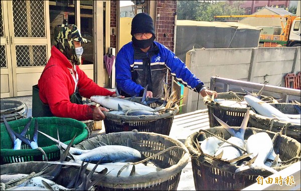 沿海養殖虱目魚受害嚴重，卻有半數養殖戶因沒有水權等證明文件，恐無法申請現金救助。（記者林國賢攝）