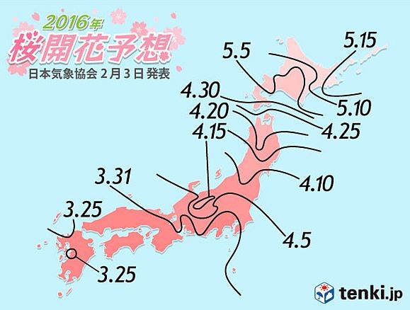 日本天氣協會公布日本各地的開花時間預測。（圖擷自日本氣象協會網站）