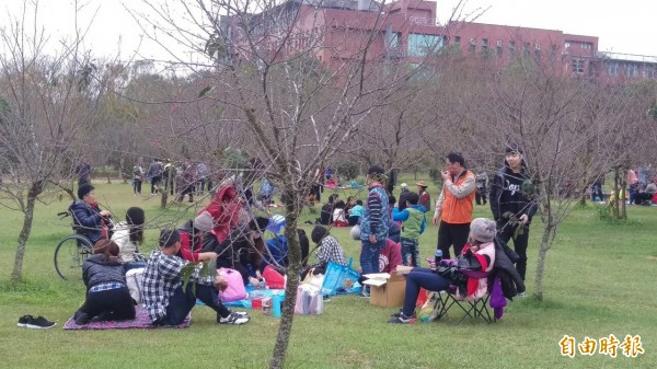 國立暨南大學賞櫻季湧入大量人潮，惟因暖冬櫻花晚開，校園內意外出現「人海多過花海」的有趣景象。（記者劉濱銓攝）