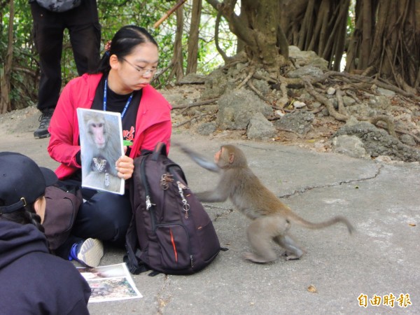 林美吟從9歲起觀察柴山獼猴，對她來說，猴子就是家人。（記者黃旭磊攝）