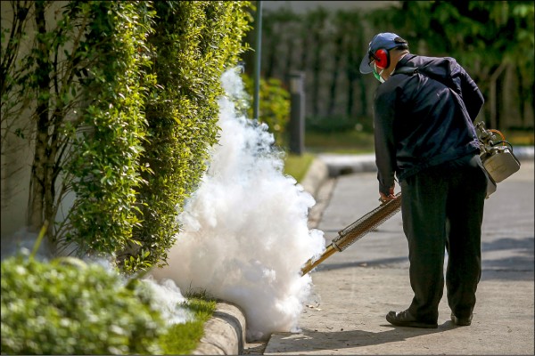 泰國茲卡升級警示孕婦應暫緩前往 生活 自由時報電子報