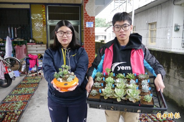 多肉植物正夯情侶返鄉創業 生活 自由時報電子報