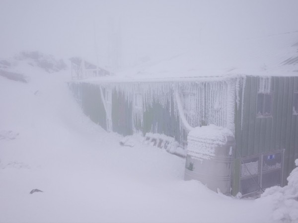 玉山今晨降瑞雪，玉山氣象站外白茫茫一片宛如北國。（氣象局提供）