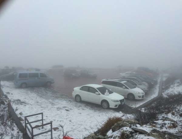 合歡山再度降雪，山上一片雪白。（仁愛警分局提供）