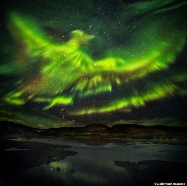 北極光恰似一隻青色鳳凰，在星空中展翅高飛。（圖擷取自希格森網站）