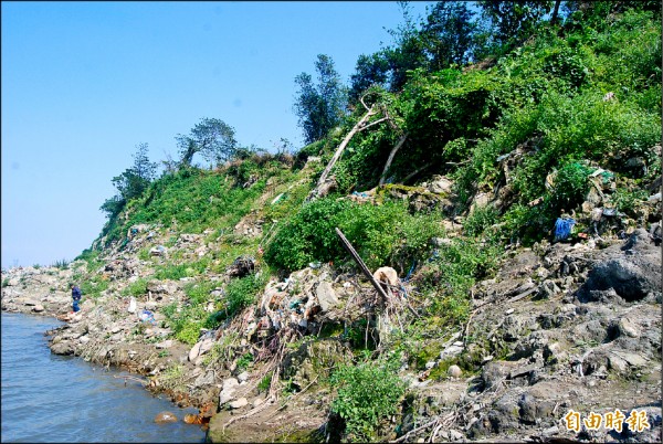 大量家戶垃圾、廢土及塑膠袋深埋在大漢溪旁，必需爬下河岸才能發現。（記者張安蕎攝）