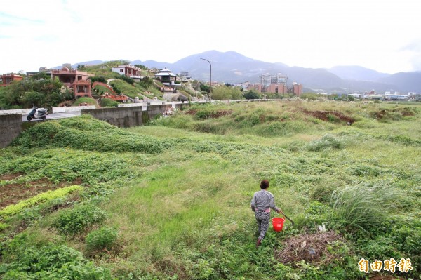 農友在廢土旁種菜，搖頭苦嘆。（資料照，記者吳政峰攝）