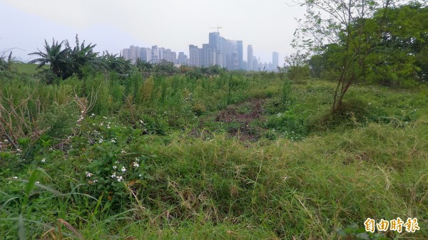 新竹縣環保局獲中央金援，將在竹北市頭前溪高灘地植栽綠化，推動空氣品質淨化。（記者廖雪茹攝）