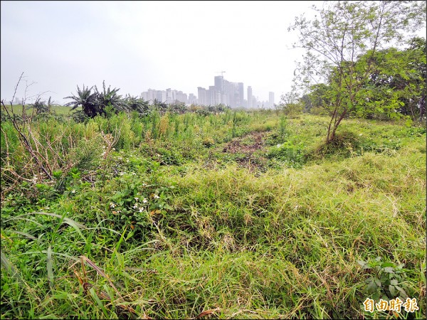 新竹縣政府爭取竹北市頭前溪高灘地綠化，已獲環保署核定首期2千多萬元，將施作空氣品質淨化區（環保公園）。（記者廖雪茹攝）