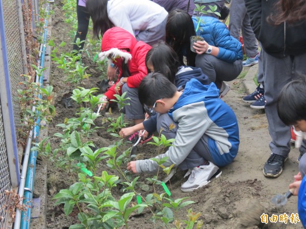 中市大墩國小畢業生在校園種下「永恆有形的回憶」。（記者蘇孟娟攝）