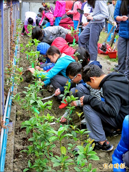 大墩國小送六年級學生最特別的禮物，讓學生種樹在校園留下永恆印記。（記者蘇孟娟攝）