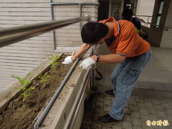 拈花惹草園藝小作所學員參與社會服務，協助環境綠美化。（記者洪瑞琴攝）