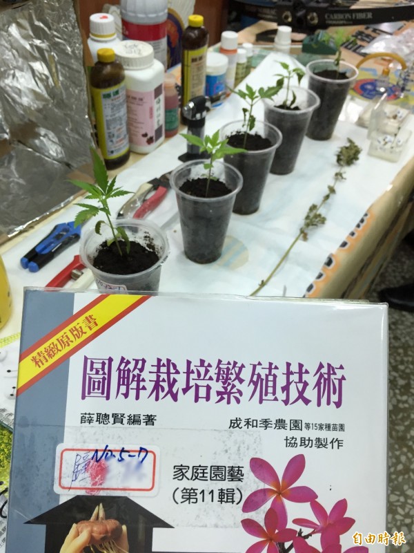 鐘姓毒販自學成功種出大麻，自找「麻」煩被高市刑大破獲。（記者黃良傑攝）