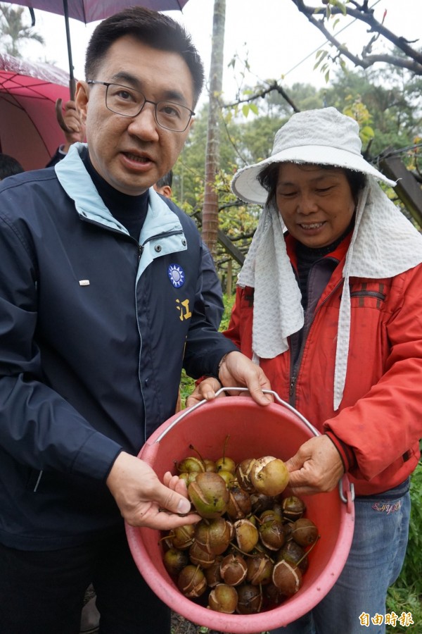 高接梨結果裂果嚴重。（記者歐素美攝）