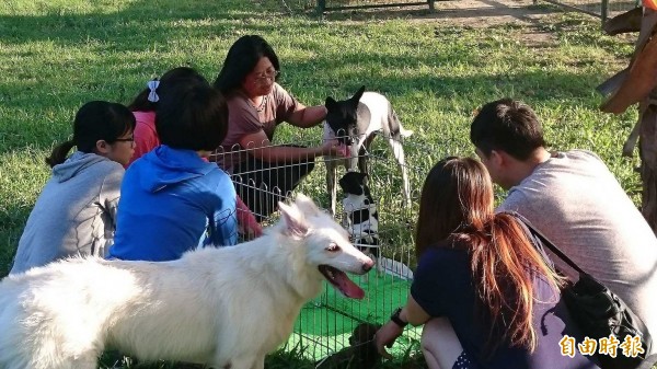 市府動保處彌補動保法不足，首創高雄市動物保護自治條例。 （記者陳文嬋攝）